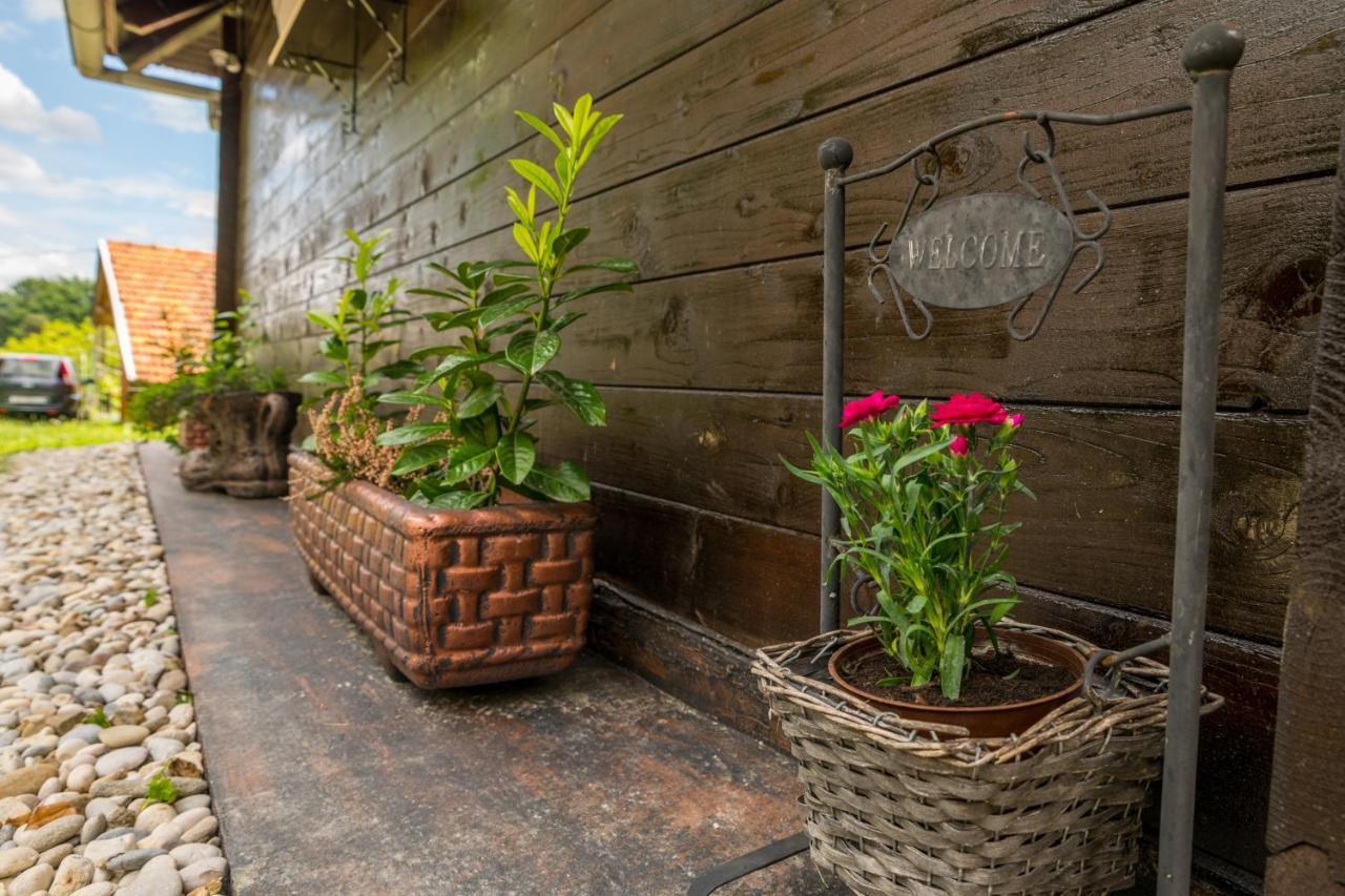 Hygge Hill Villa Krapinske Toplice Exterior foto